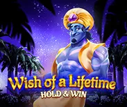 Wish of a Lifetime Hold & Win